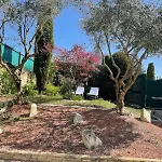 Holiday home Des Amis